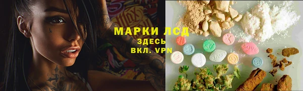 тгк Пересвет